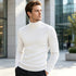 Men's Soft Turtleneck Sweater 2026 Autumn Winter Warm Knit Pullover Jumper | TWILLVALE