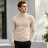Men's Soft Turtleneck Sweater 2026 Autumn Winter Warm Knit Pullover Jumper | TWILLVALE